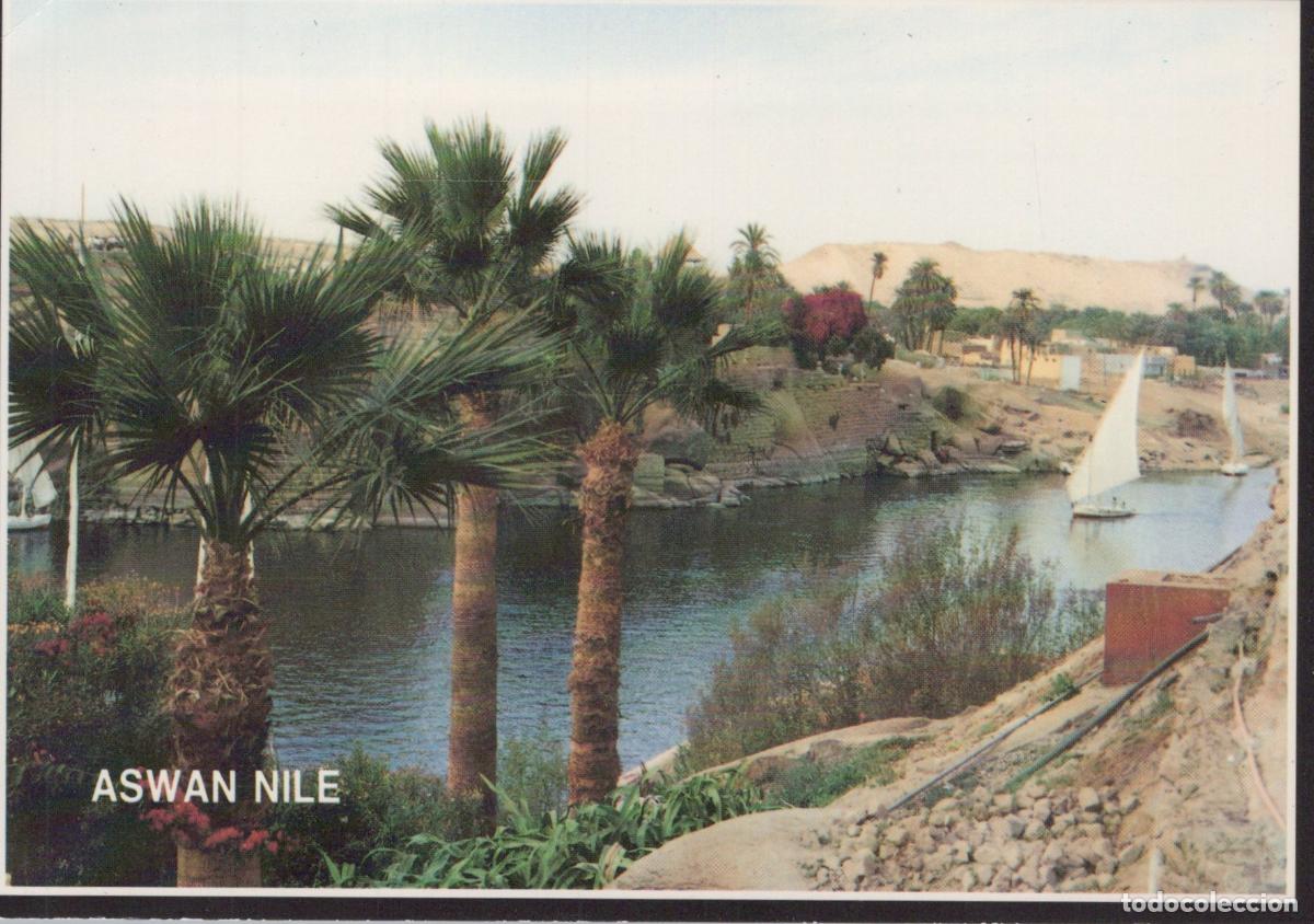 Cartoline: Egypt Aswan Nile River View With Palm Trees and Sailboats Unposted *YAR230