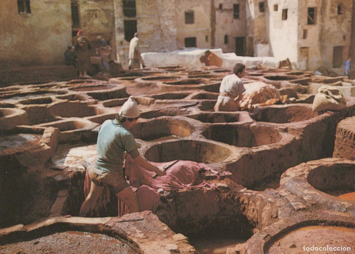 Cartoline: Morocco Fes Dyers Tannery Workers Traditional Leather Dyeing Unposted *YAR536