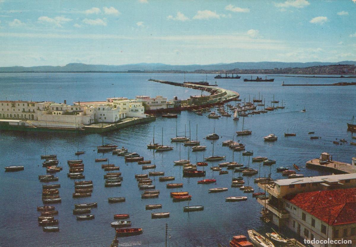 Cartoline: Algeria Algiers The White Port of Pleasure Boats and Harbor View *YAR563