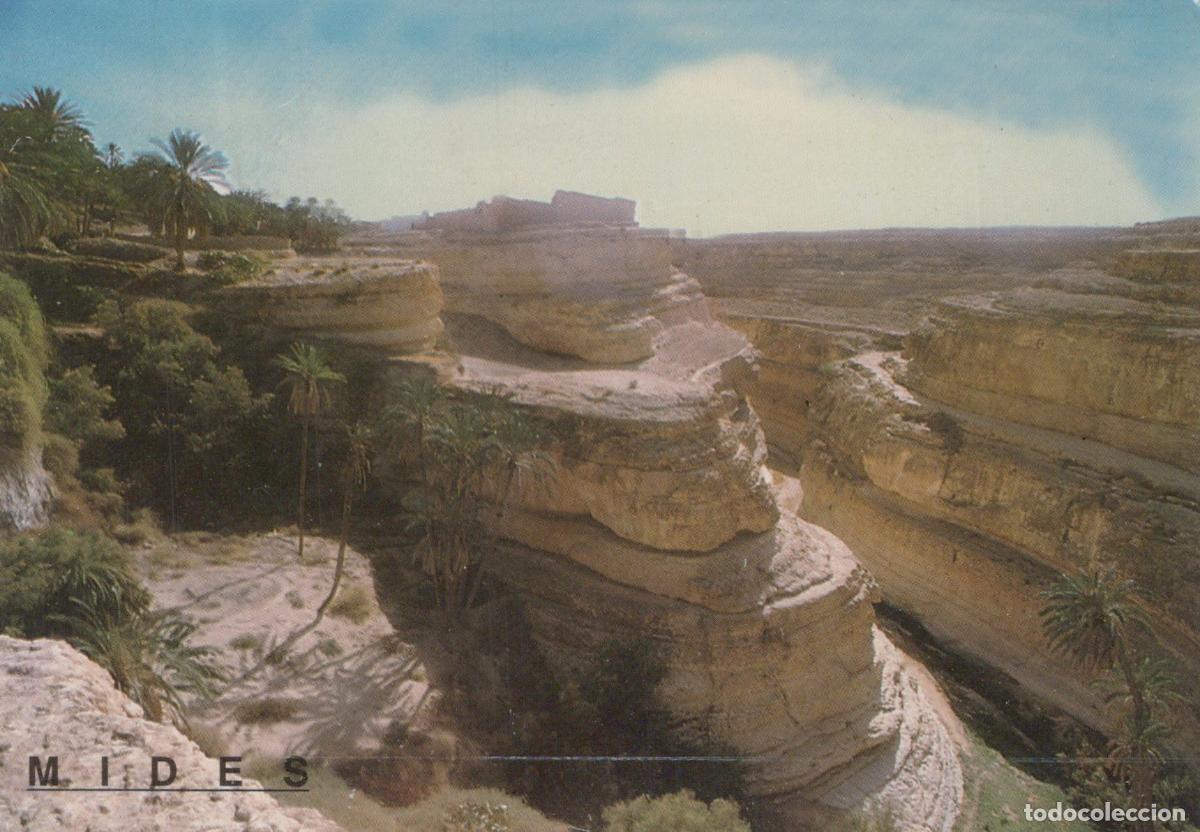 Postkarten: Tunisia Mides Canyon Oasis Desert Landscape With Palm Trees *YAS071
