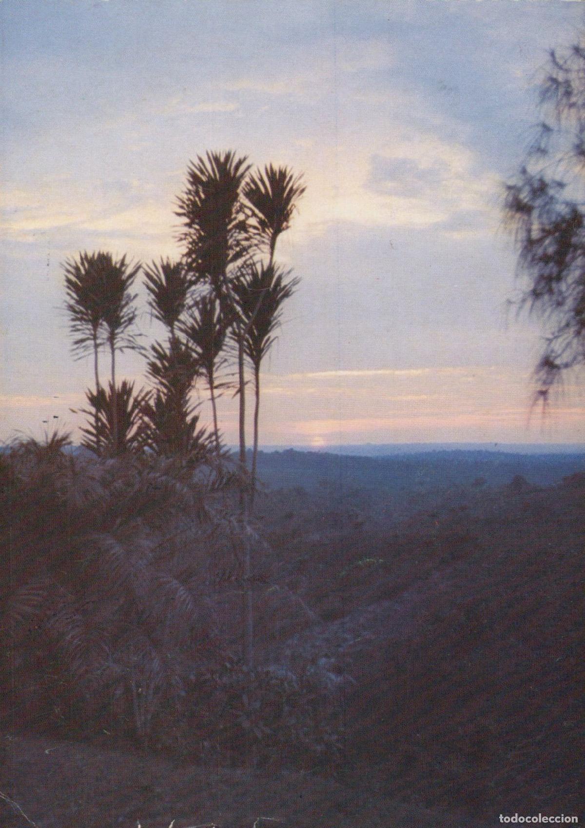 Postales: Africa Sunset With Palm Trees Landscape *YAS491