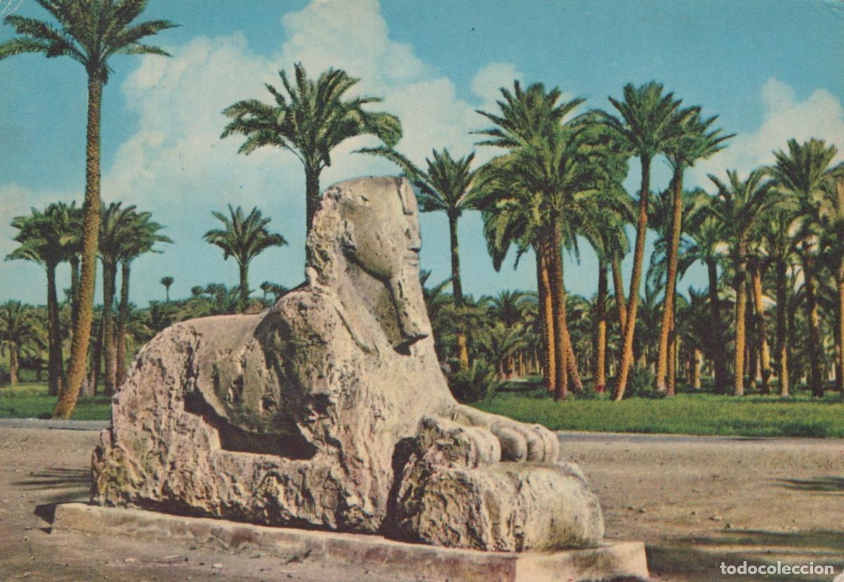 Postales: Egypt Memphis The Alabaster Sphinx XVIII Dynasty Palm Trees *YAR249