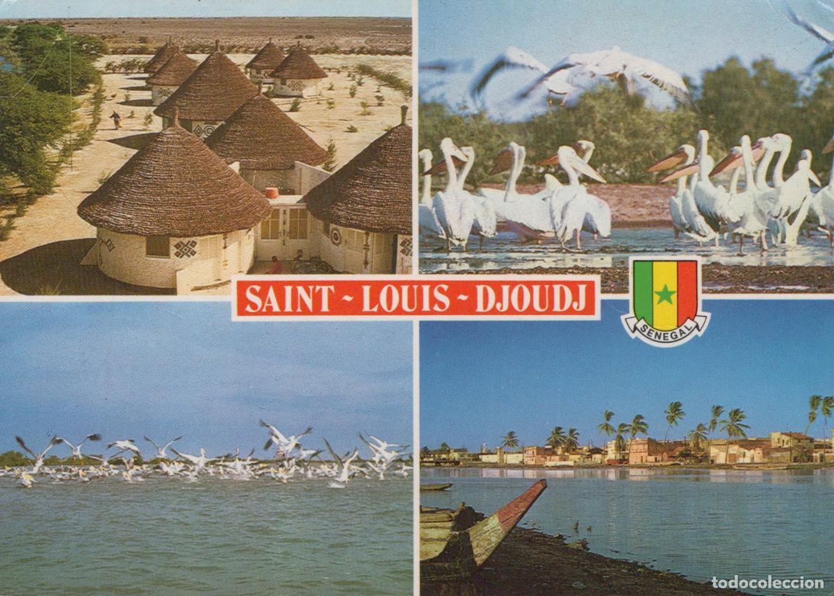 Postales: Senegal Saint Louis Djoudj Traditional Huts Pelicans Birds River *YAR773