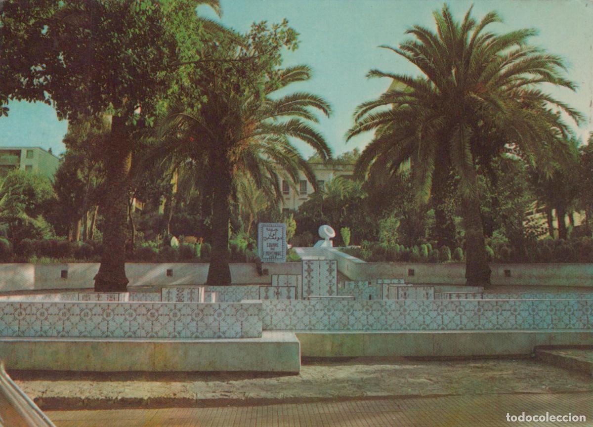 Postales: Algeria Tizi Ouzou Square 1st November Palm Trees and Fountain *YAR795