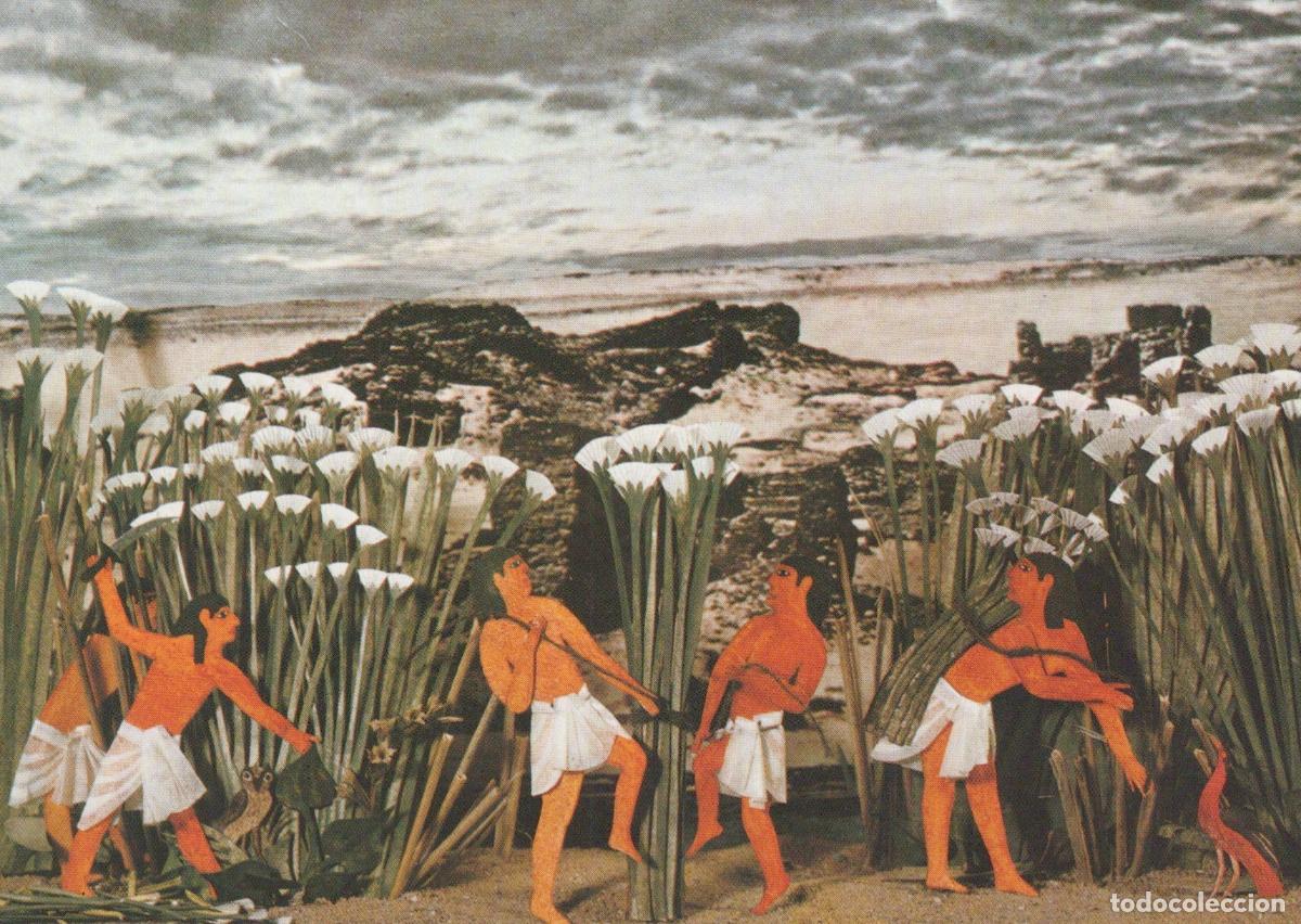 Postales: Egypt Ancient Papyrus Harvest Scene Men Gathering Papyrus Reeds Unposted *YAT742