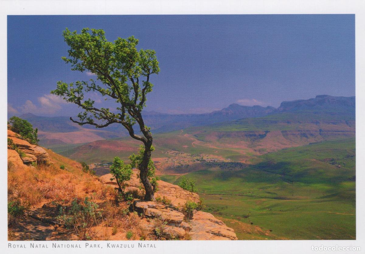 Postales: South Africa Royal Natal National Park Mountain Landscape Unposted *YAV741