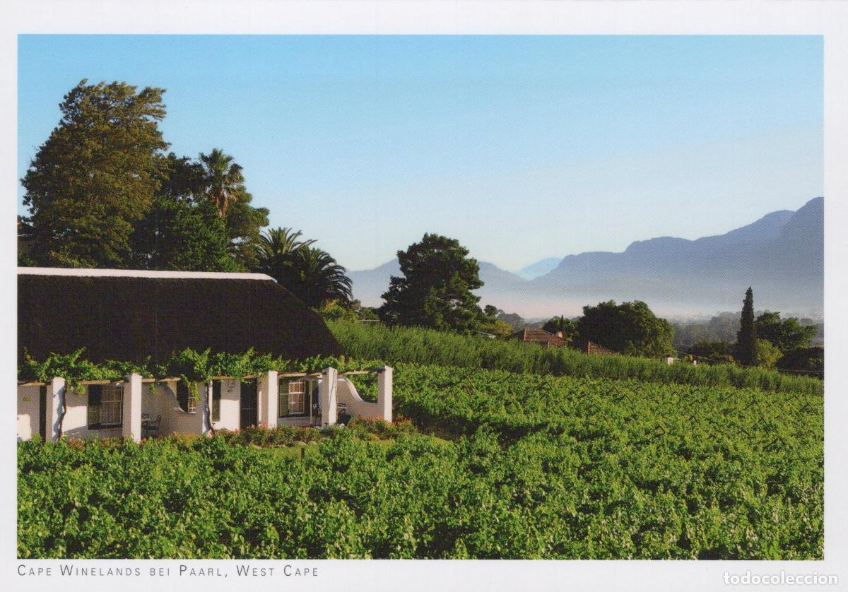 Postales: South Africa Paarl Cape Winelands West Cape Vineyard Farmhouse Unposted *YAV740