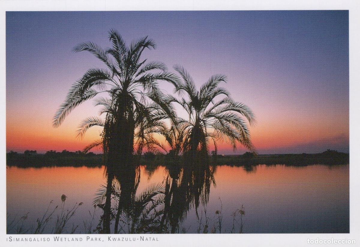 Postales: South Africa Isimangaliso Wetland Park Palm Trees Sunset Unposted *YAV748