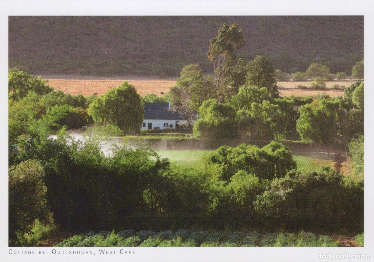 Postales: South Africa Oudtshoorn West Cape Cottage in Rural Landscape Unposted *YAV750