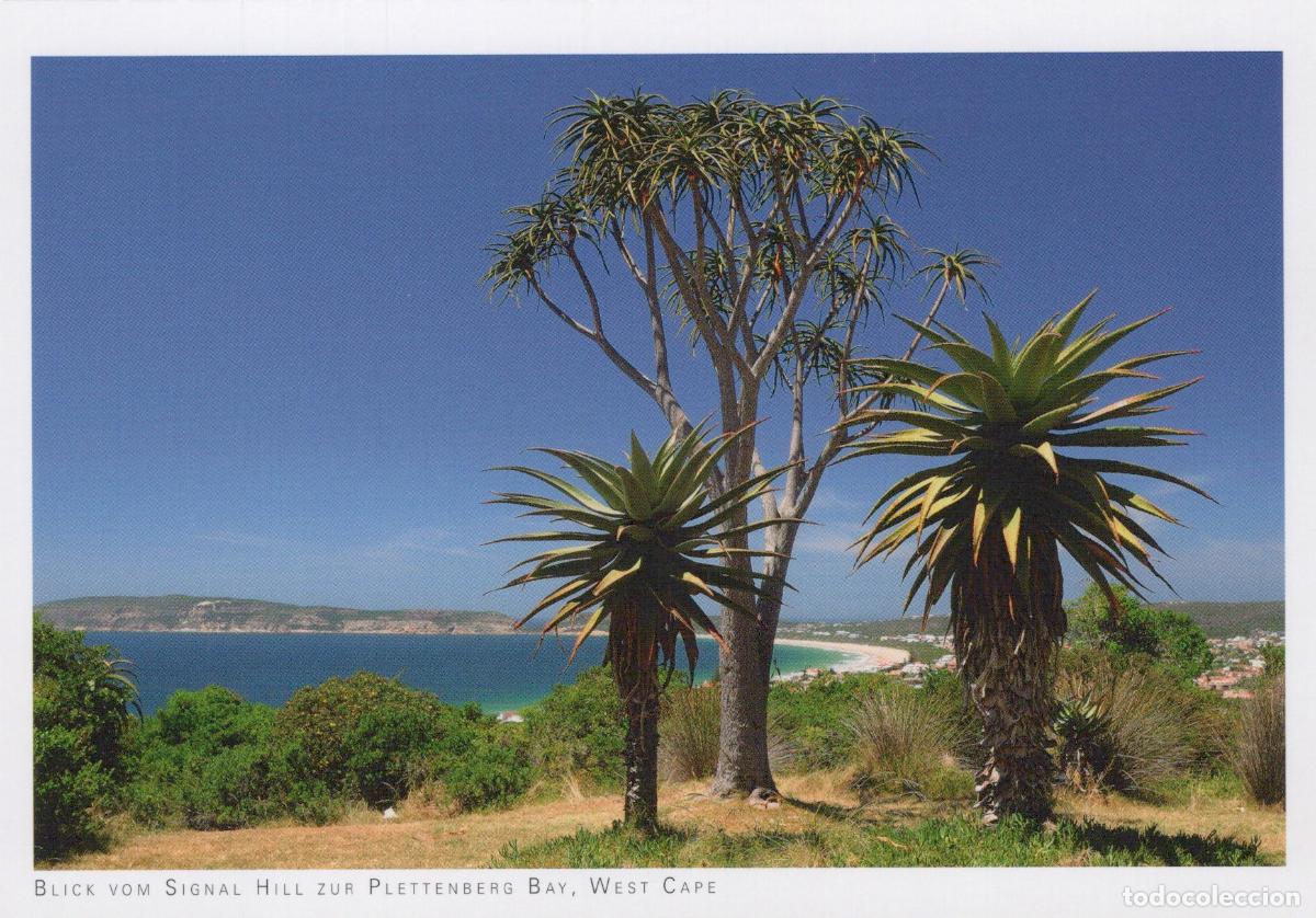 Postkarten: South Africa Plettenberg Bay View From Signal Hill Landscape Unposted *YAV760