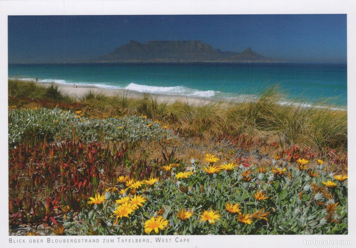 Postkarten: South Africa Bloubergstrand Beach Table Mountain View West Cape Unposted *YAV763