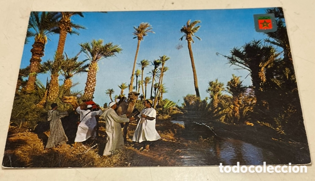 Postales: Postal. T&iacute;pico Oasis. Marruecos. A&ntilde;os 70.