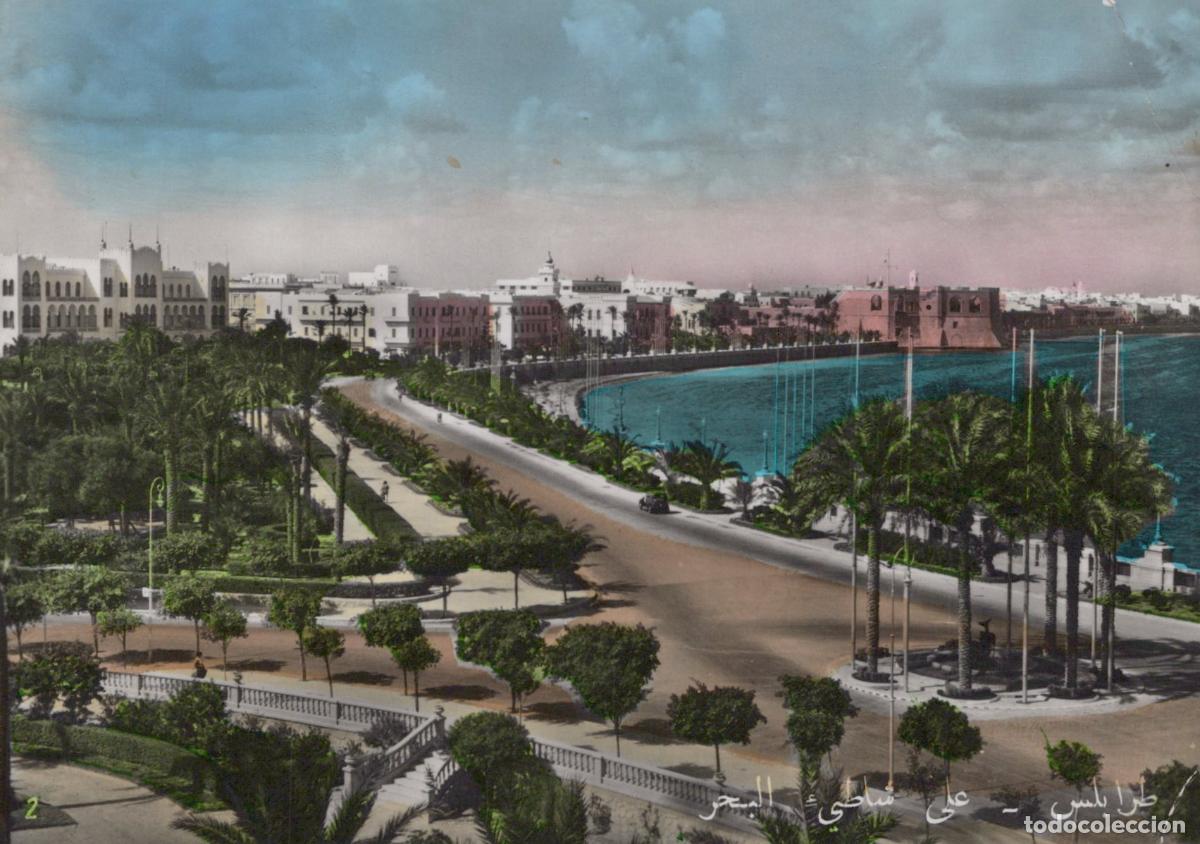 Postcards: Libya Tripoli Lungomare Coastal Road Palm Trees Cityscape Seaview *YAY277