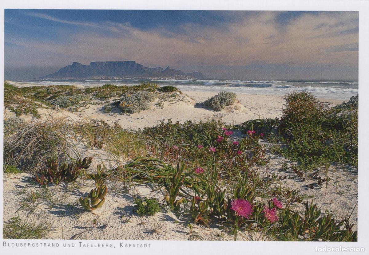 Postales: South Africa Cape Town Blouberg Beach Table Mountain Landscape Unposted *YAY453