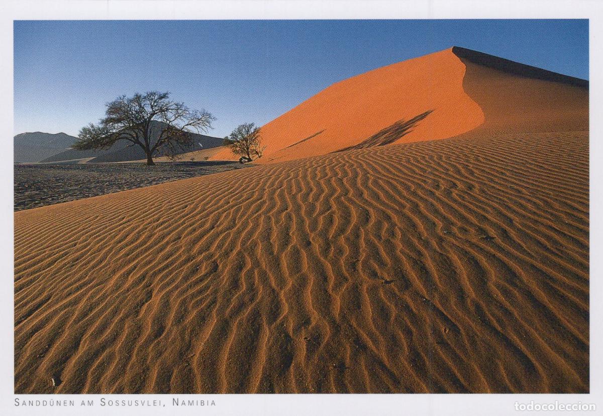 Postais: Namibia Sossusvlei Sand Dunes Desert Landscape Trees Nature Unposted *YAY162