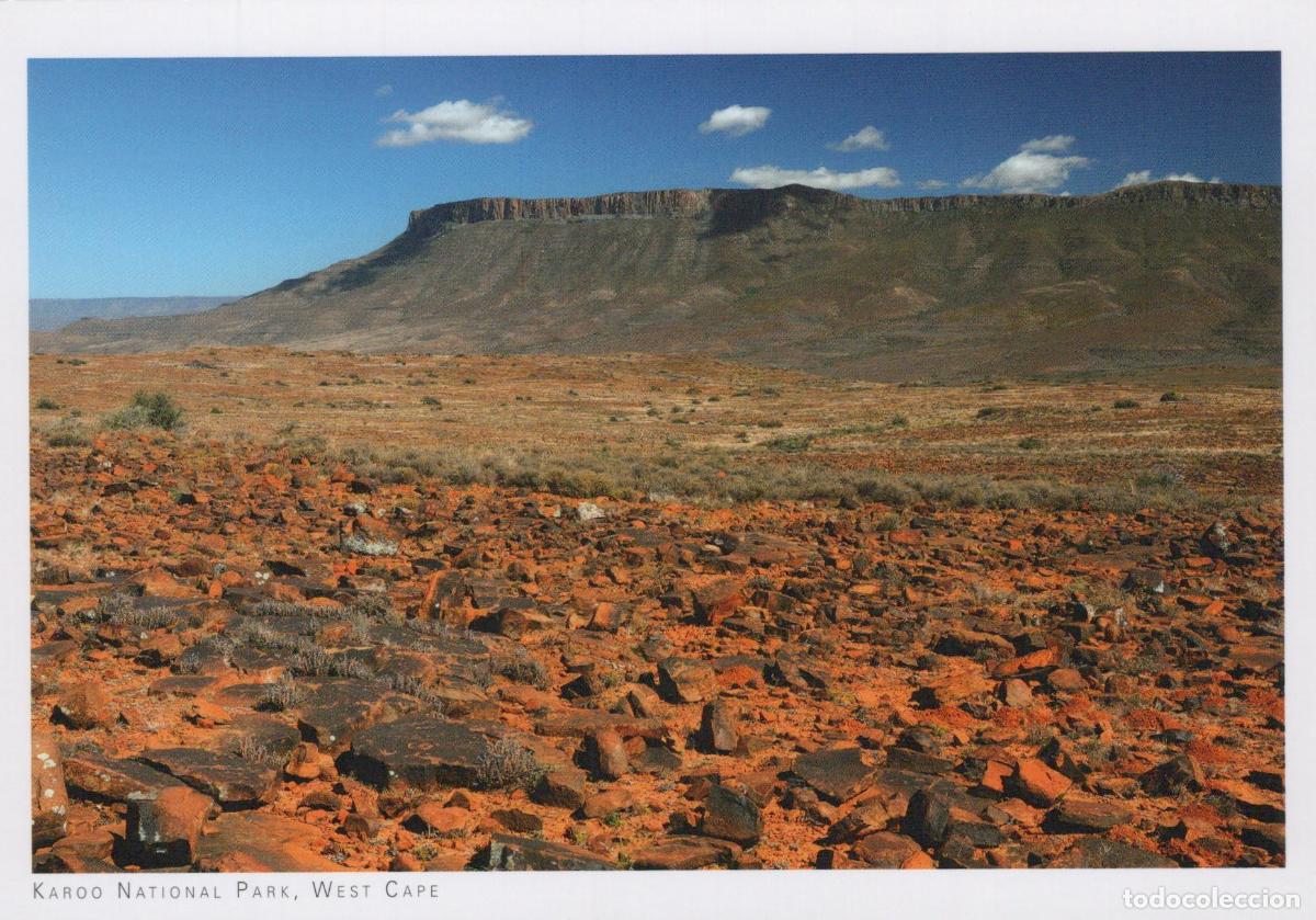 Postcards: South Africa Karoo National Park Landscape Rocky Terrain Unposted *YAY689