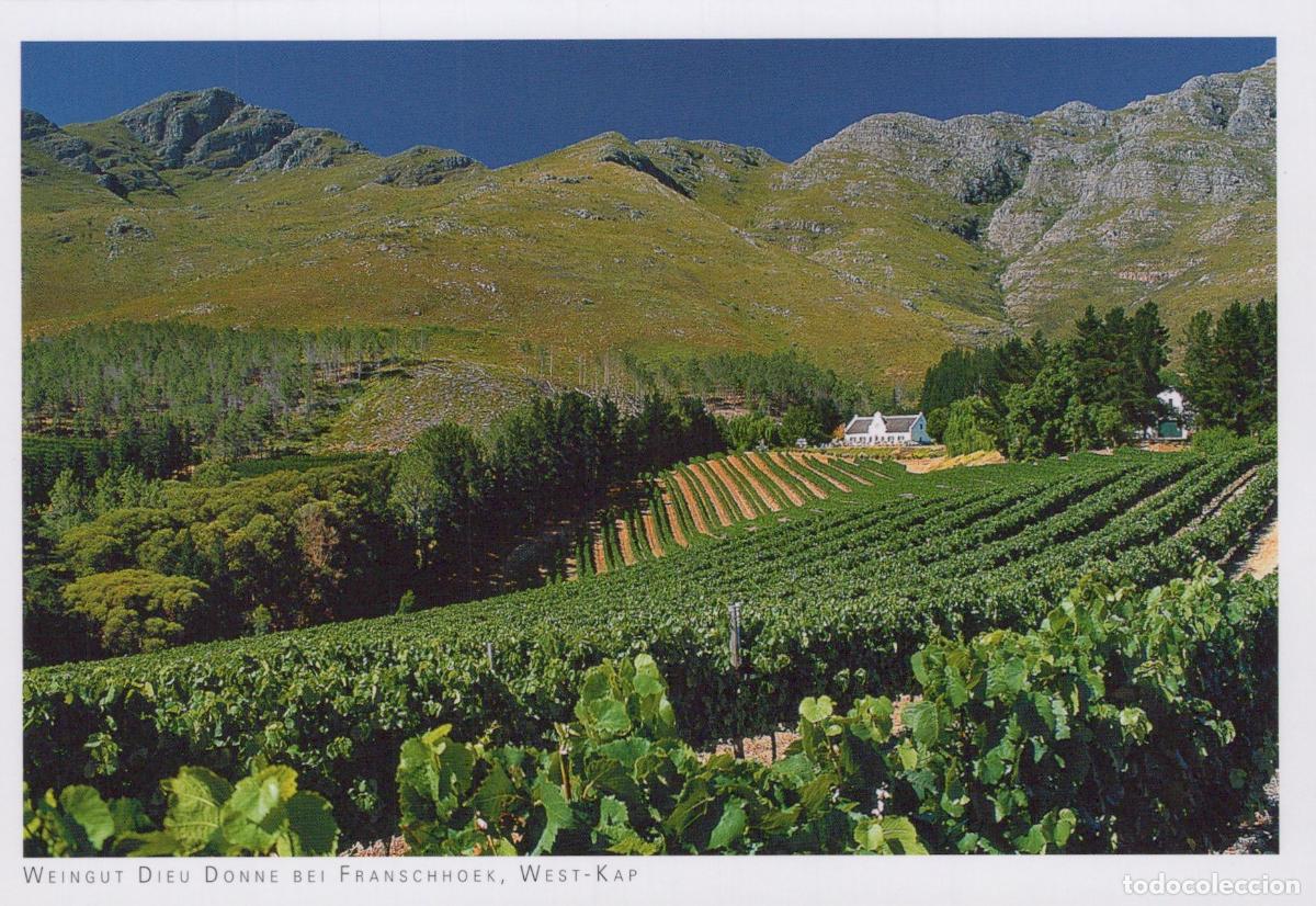 Postales: South Africa Franschhoek Dieu Donne Vineyard Landscape Unposted *YAY542