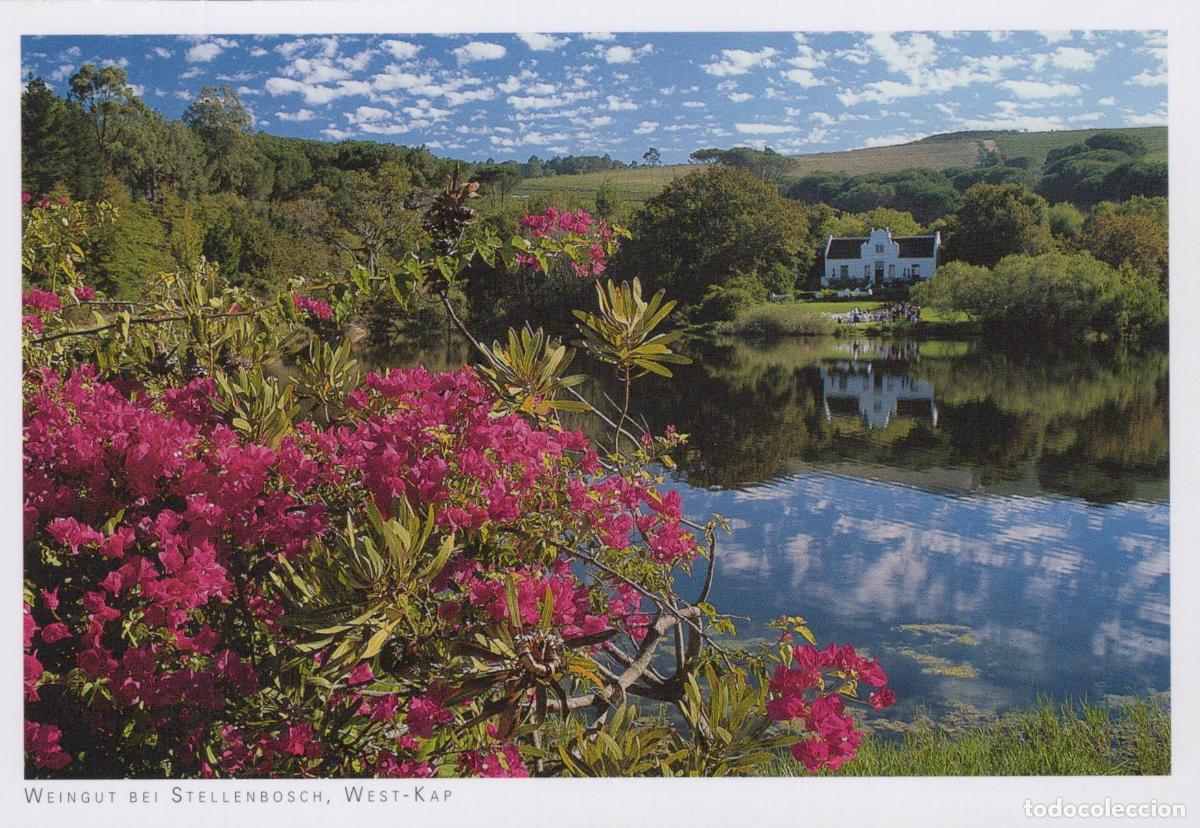 Postales: South Africa Stellenbosch Vineyard Near With Lake and House Unposted *YAY666