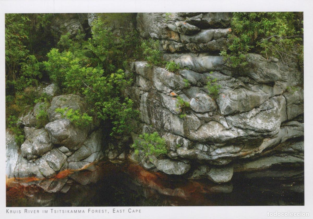 Postales: South Africa Kruis River Tsitsikamma Forest Landscape Unposted *YAY690