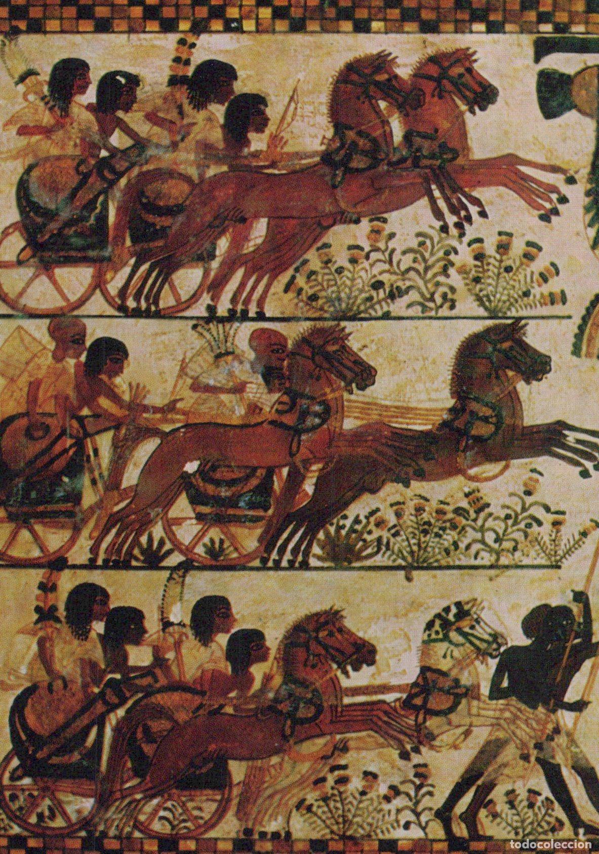 Cartoline: Egypt Cairo Ancient Egyptian Chariots Tutankhamun S Tomb Museum Unposted *YBA437
