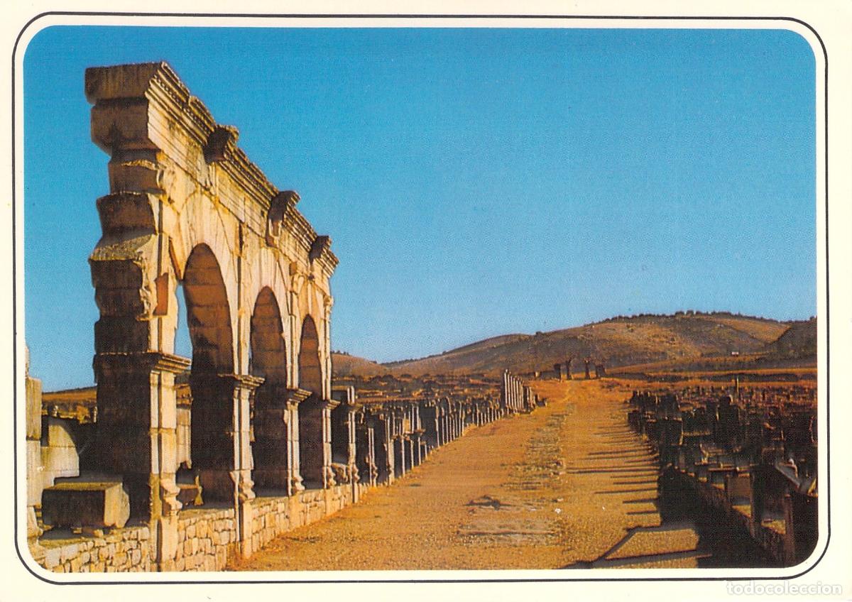 Postales: Postal de las Ruinas Romanas de Volubilis, Marruecos