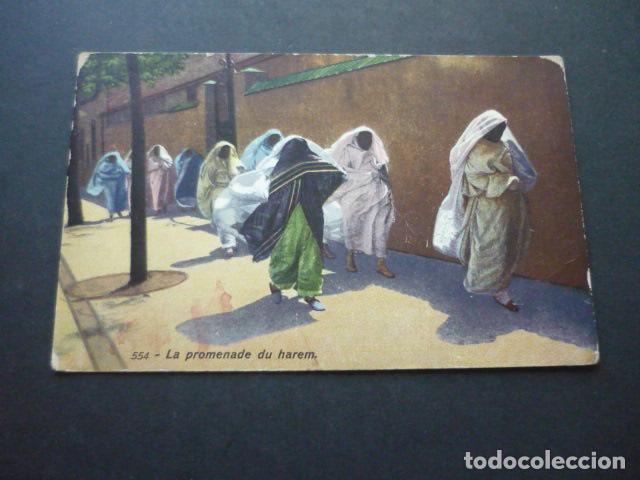 Cartes Postales: TUNEZ CAMINO DEL HAREM POSTAL