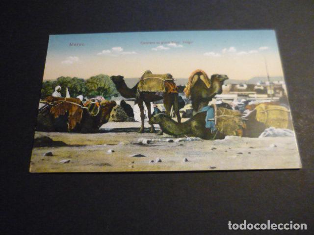 Postales: TANGER MARRUECOS CARAVANA EN EL GRAN ZOCO