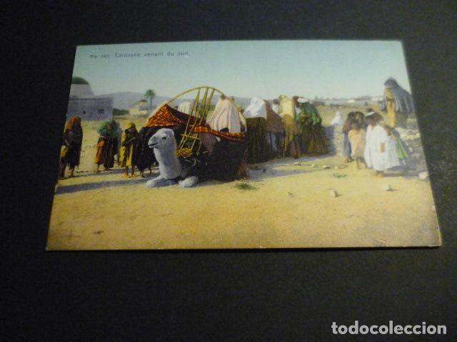 Postales: TUNEZ CARAVANA PROCEDENTE DEL SUR