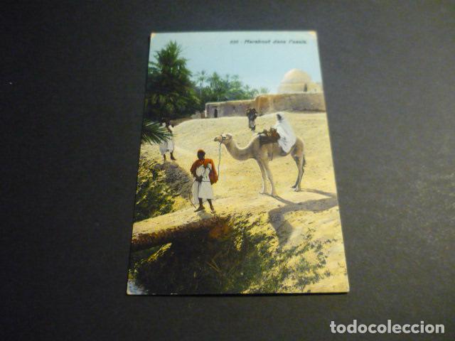 Postales: TUNEZ UN OASIS POSTAL