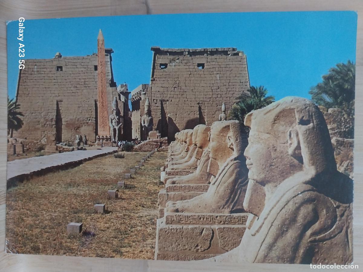 Postales: LUXOR EFIGIES ED AL AHRAM CIRCULADA A&Ntilde;O 1982