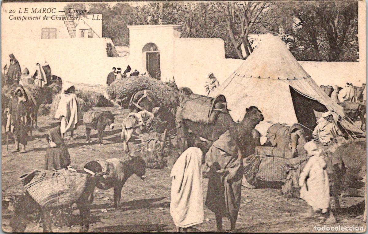 Postales: Marruecos - Le Maroc - Tanger - Campement de Chameliers - Ed. LL. 20 -Reverso sin dividir - 141x90mm