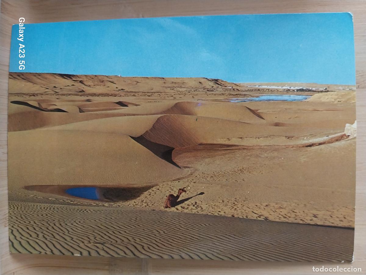 Postkarten: DUNAS EN LAS SAGUIA SAHARA ED LAS AFORTUNADAS 30027 ESCRITA A&Ntilde;O 1972 CAMELLO DROMEDARIO