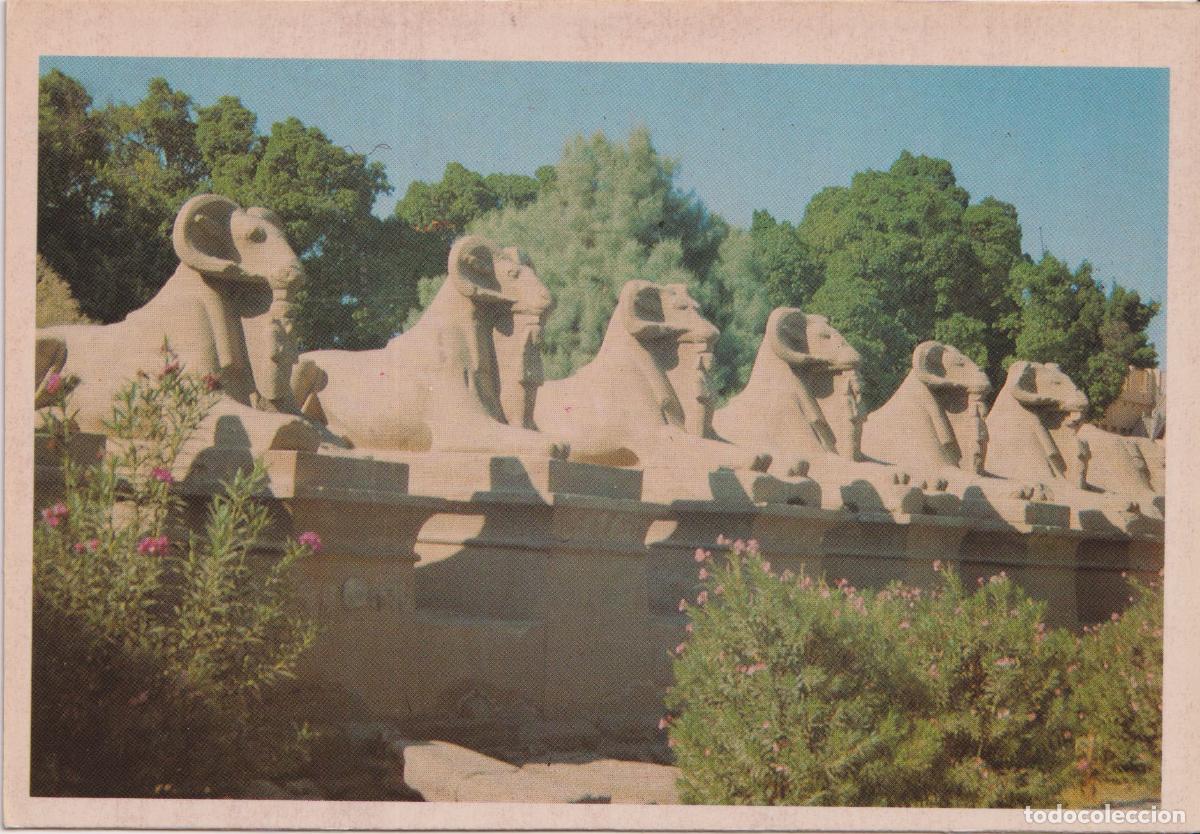 Postales: EGIPTO, KARNAK, AVENIDA DE LAS ESFINGES - S&R HELIOPOLIS - S/C