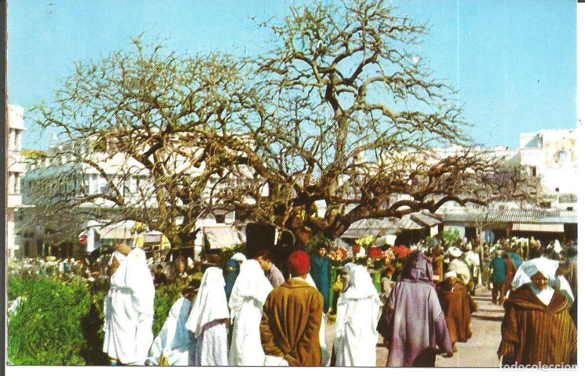 Postales: POSTAL TANGER - GRAND SOCCO - A&Ntilde;O 1959 (SIN USAR)