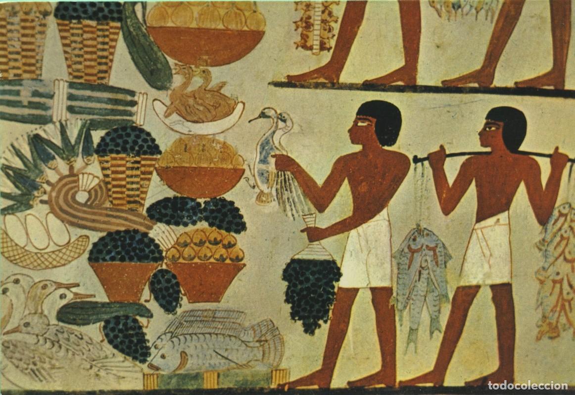 Postales: N&ordm; 6-Tumba del Noble Nakht 1415 a.C. Egipto. Sin circular. ED. LEHNERT & LANDROCK