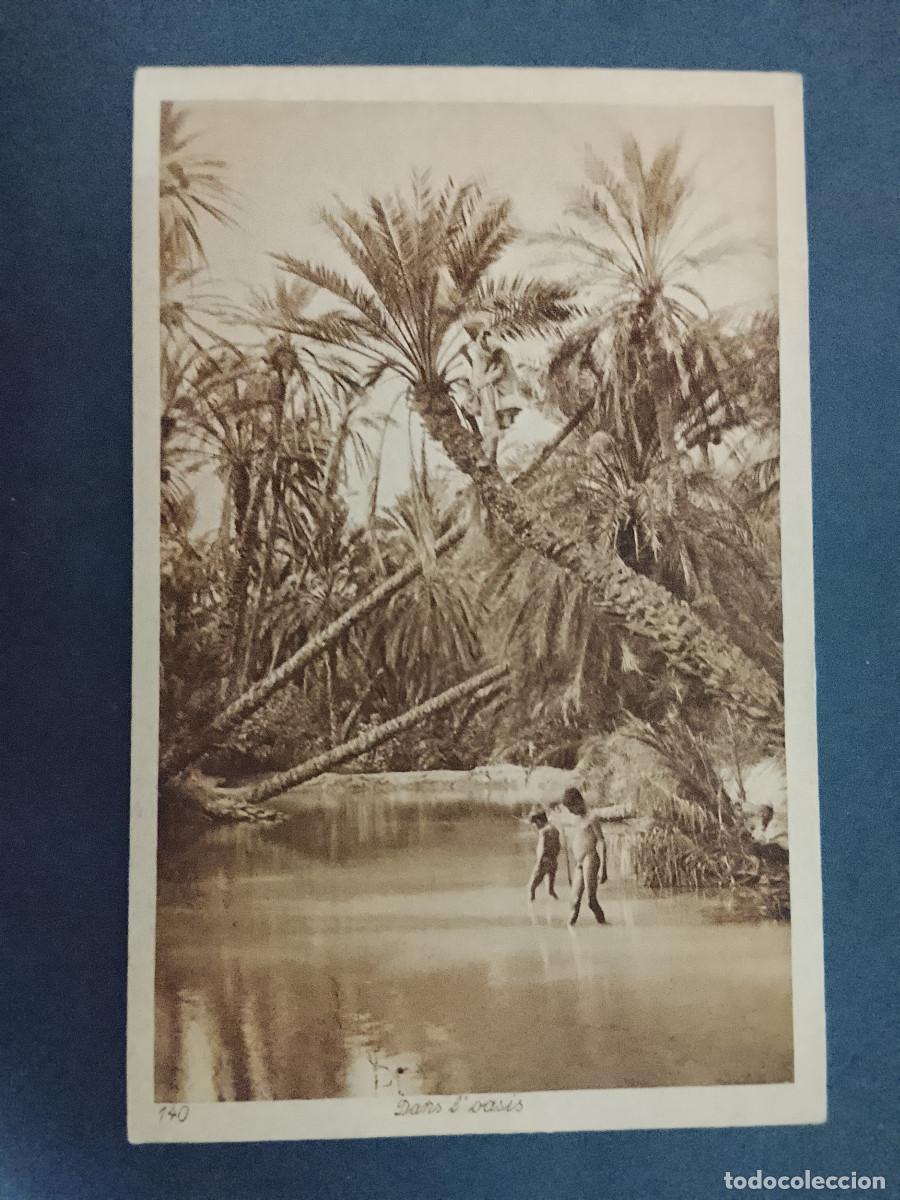 Postales: Postal antigua Dans l'oasis