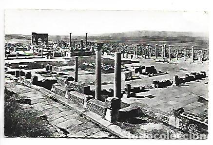 Postales: ENSEMBLE DU FORUM.- RUINES ROMAINES DE TIMGAD.- ARGELIA