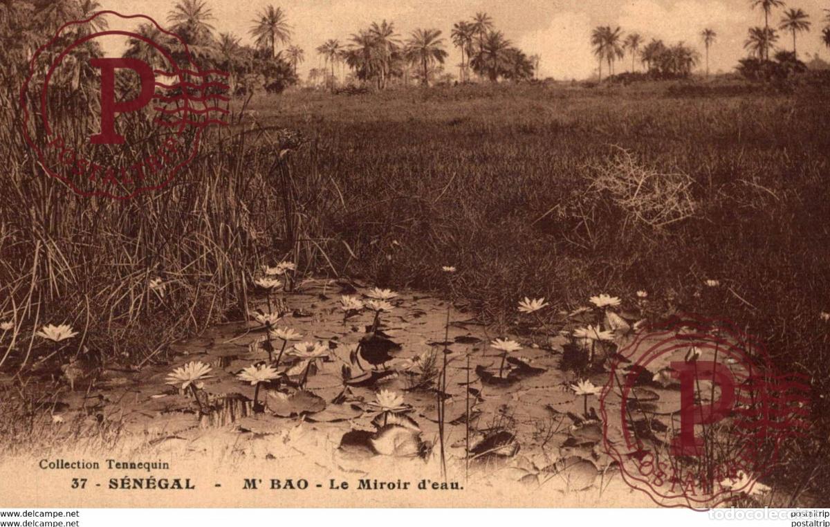 Postales: S&eacute;negal - MBao - Le Miroir deau. Sudafrica Afrique du Sud South Africa