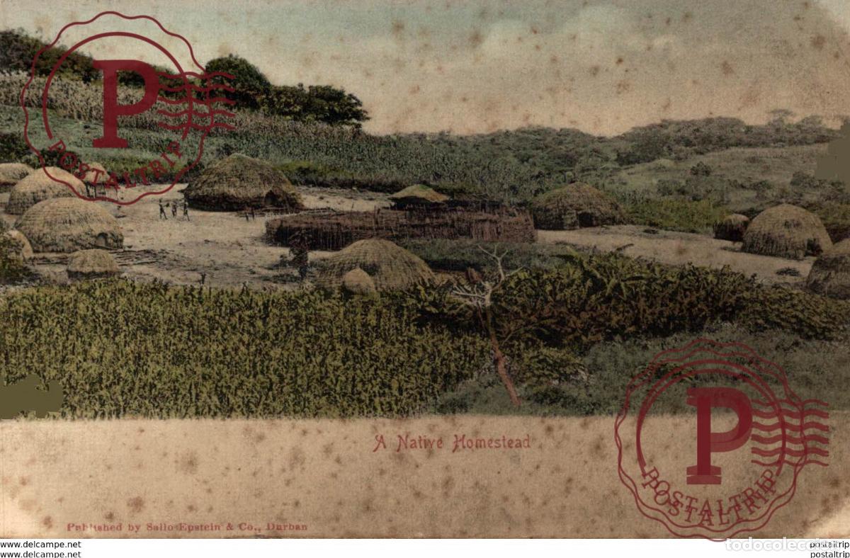Postales: A Native Homestead. Sudafrica Afrique du Sud South Africa