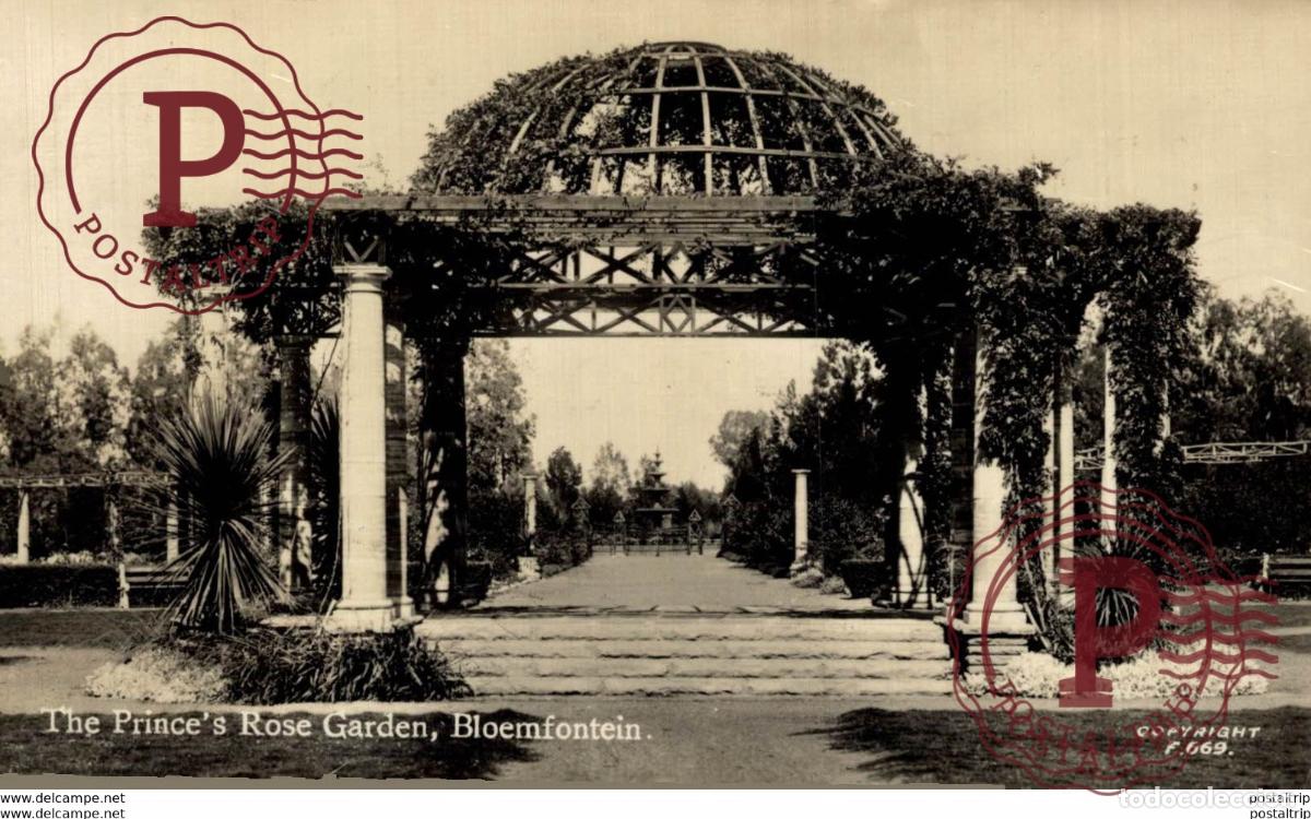 Postales: The Princes Rose Garden, Bloemfontein. Sudafrica Afrique du Sud South Africa