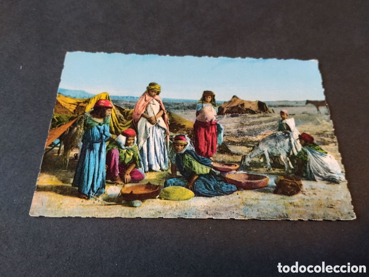 Postales: Postal Norte de &Aacute;frica,grupo de n&oacute;madas