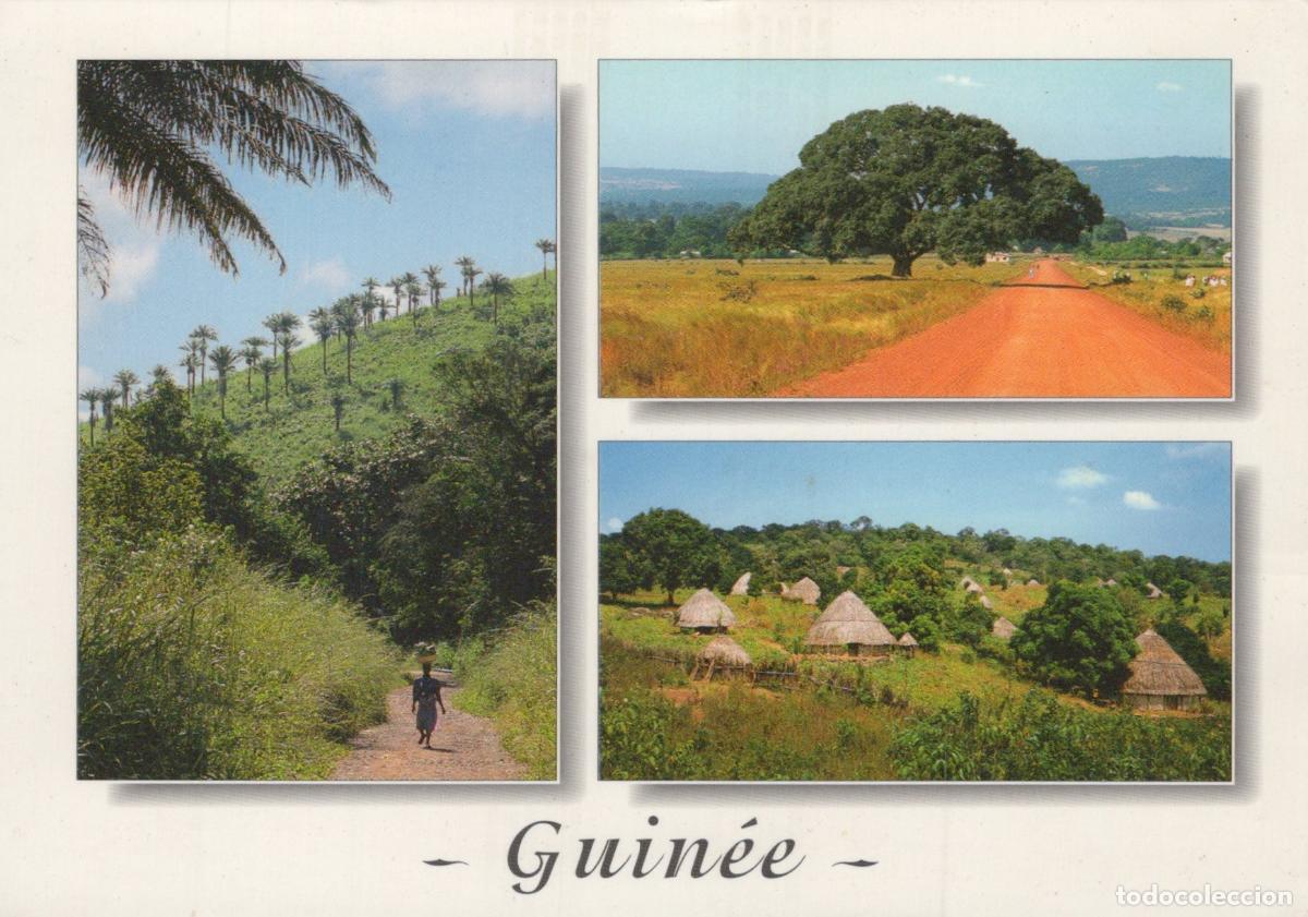 Postales: Guinea Landscapes Rural Scenes Village Huts And Palm Trees *YBB301