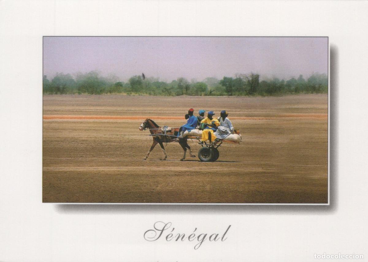Postales: Senegal People Riding Donkey Cart Across Dry Landscape *YBB417