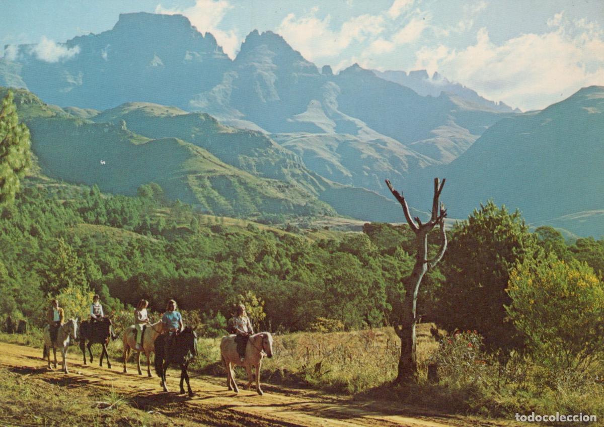 Postales: South Africa Drakensberg Horse Riding In Champagne Castle And Unposted *YBB519