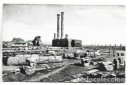 Postales: COLONNES DU PRONAOS DU CAPITOLE.- RUINES ROMAINES DE TIMGAD.- ARGELIA