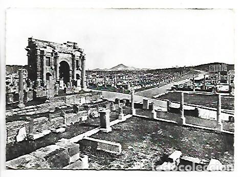 Postales: VUE GENERALE DES RUINES ROMAINES.- TIMGAD.- ARGELIA