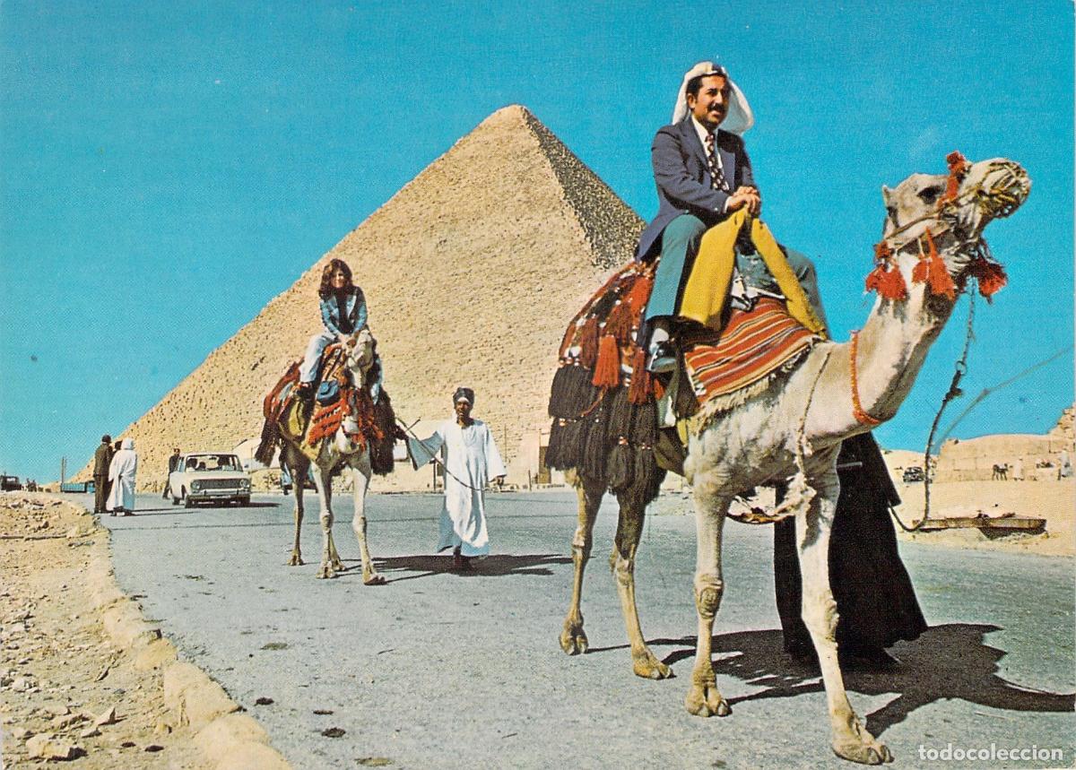 Postales: Postal de las Pir&aacute;mides de Guiza con turistas en camello