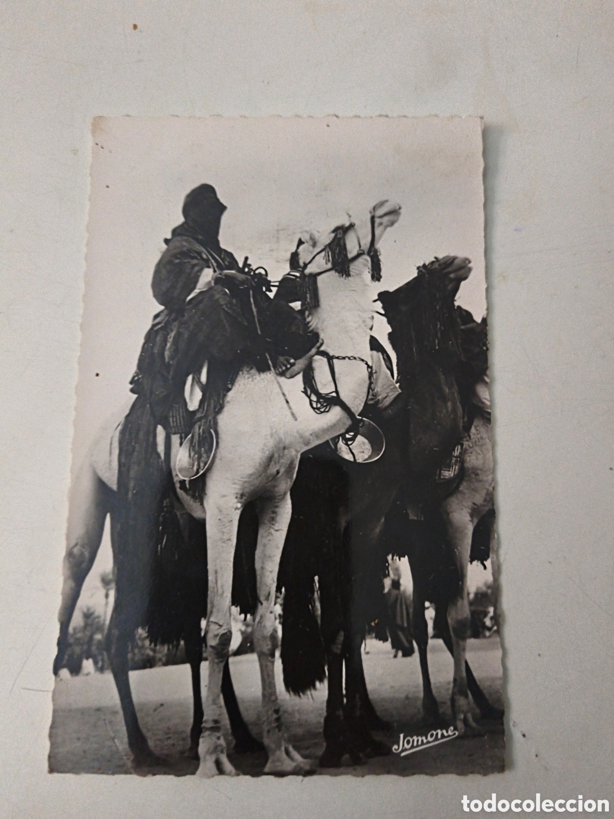 Postales: Postal Meharisted & Tananrasset - Foto 1