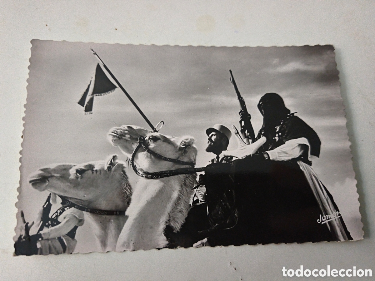 Postcards: Postal Ouargla Meharistes police des confins du Sud