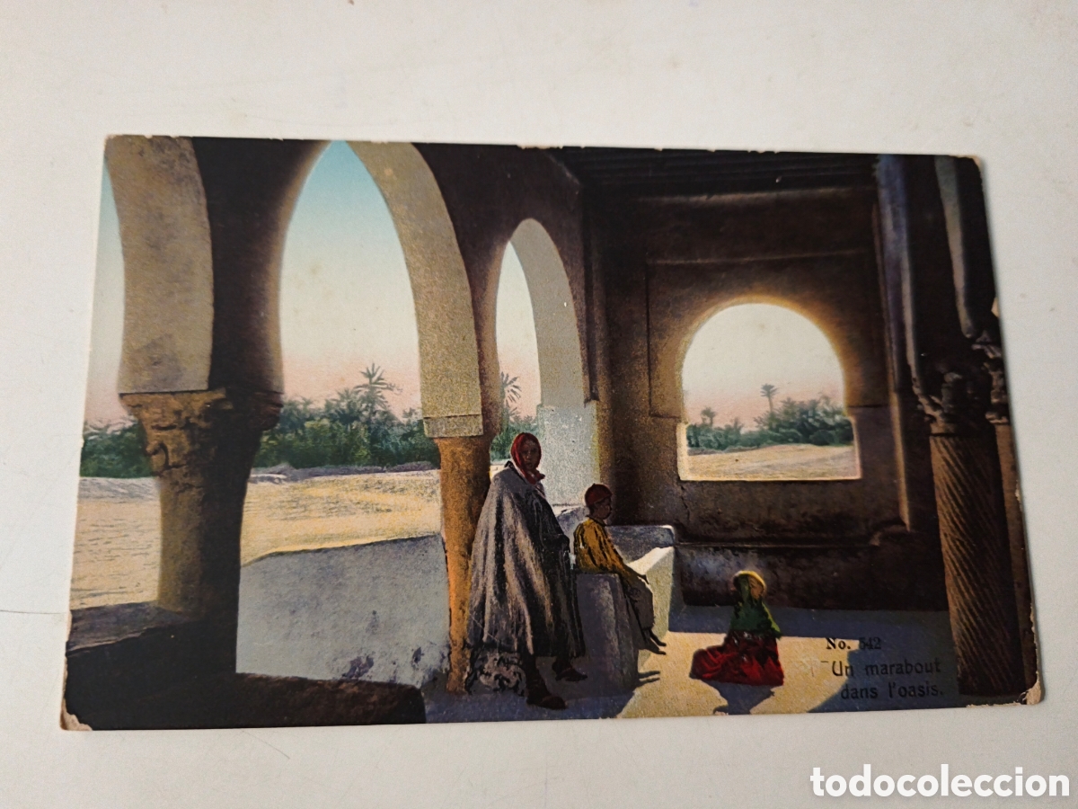 Postcards: Postal un marabout dans l'oasis